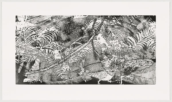 Elisabeth Condon, Tempest, 2019. 25 ¼” x 42 ¾”, 1-run spit bite aquatint with photo etching and open bite, Edition: 50